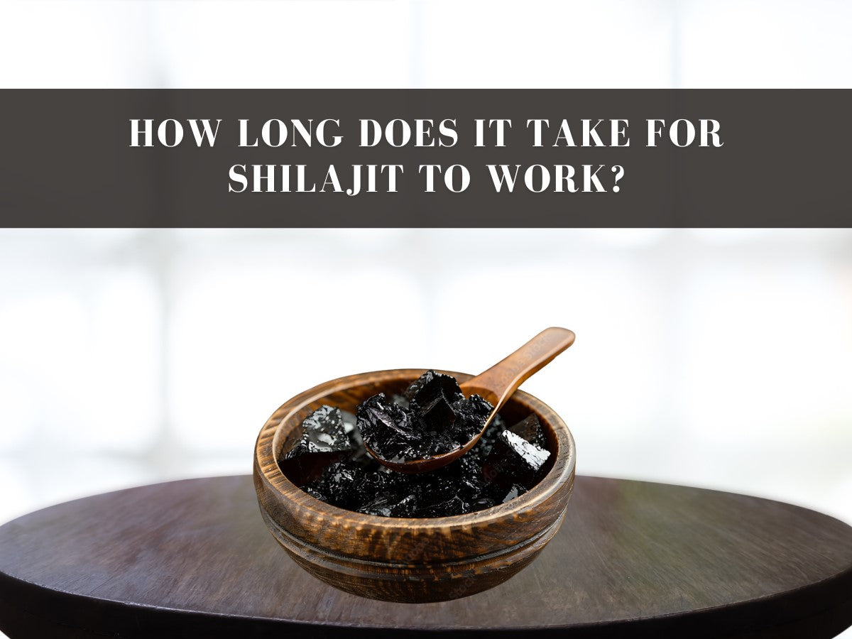 How Long Does it Take for Shilajit to Work?